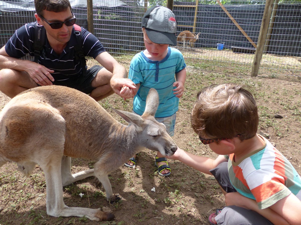 Kangaroos in Florida, an Everglades Airboat, and Saying Goodbye to the Sunshine State