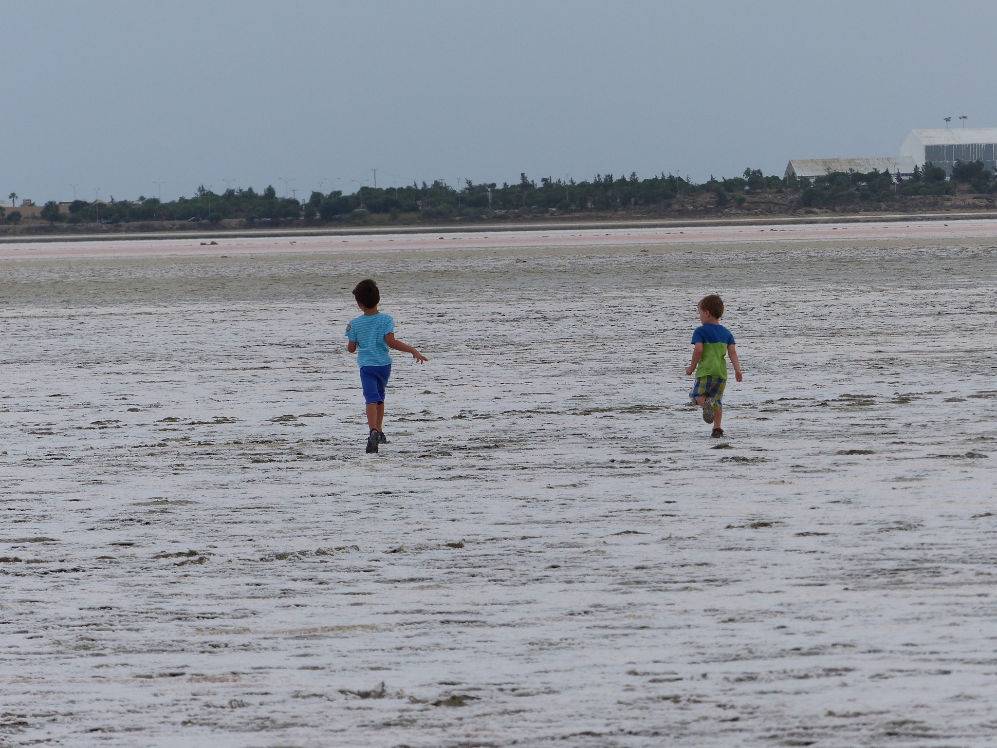 First day in Larnaca: Salt lakes and great food at Balti House