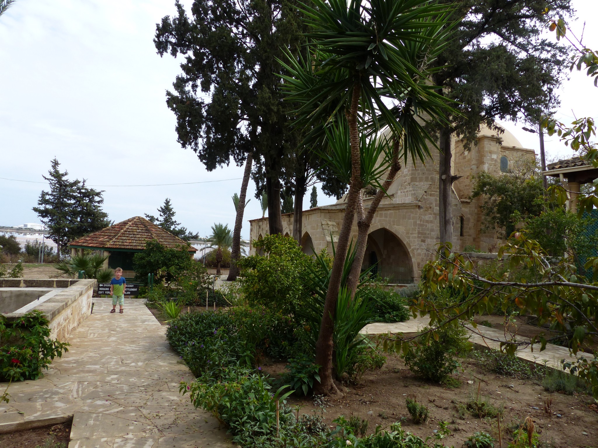 P1040537