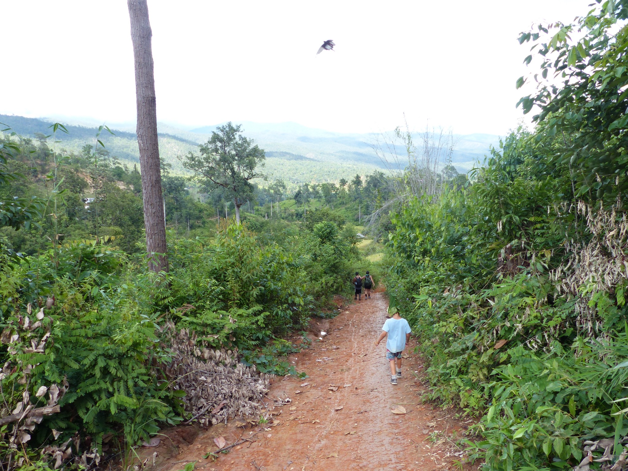 P1050700