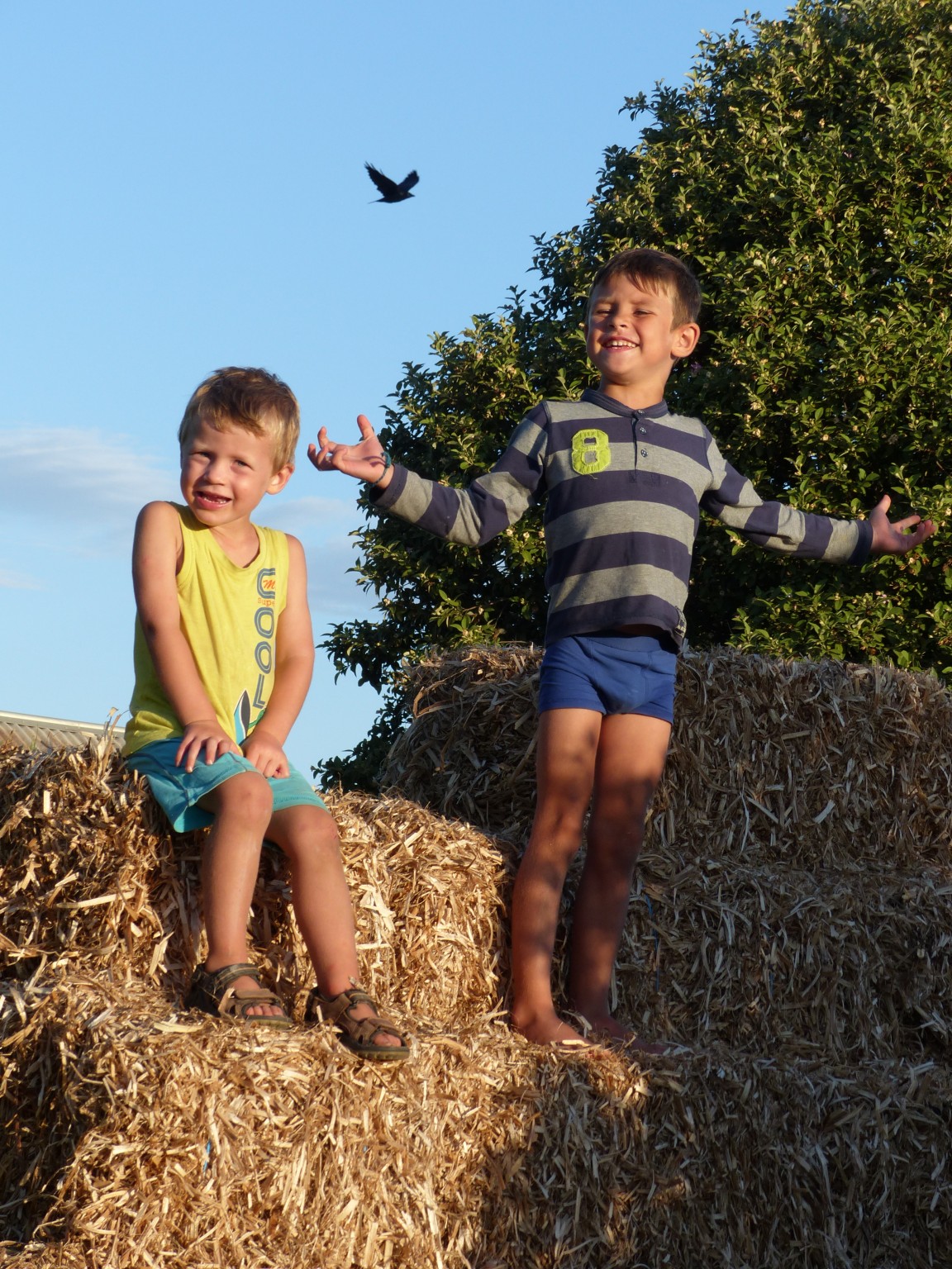 Our visit to Victor Harbour and Coorong National Park