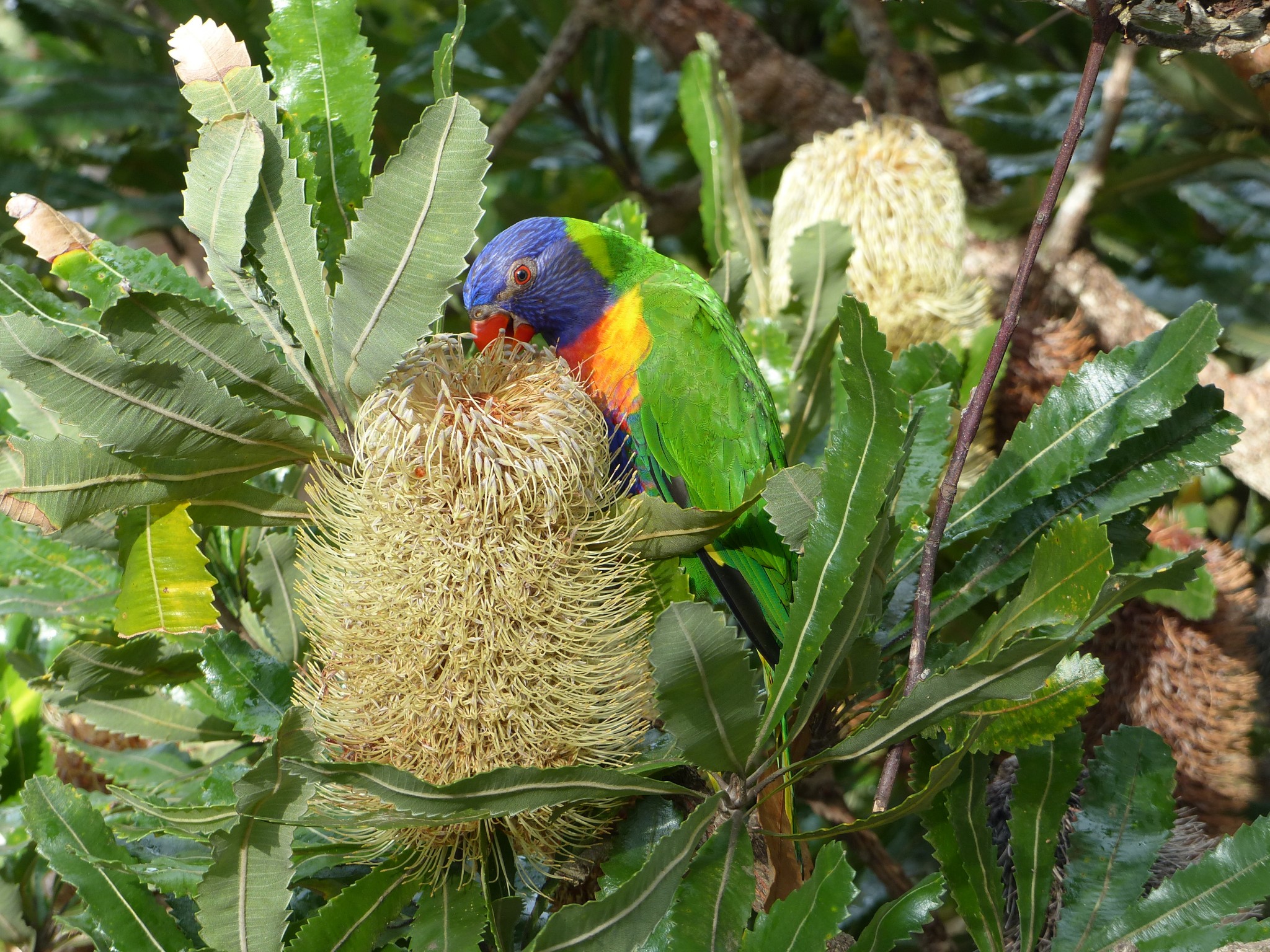 P1090158