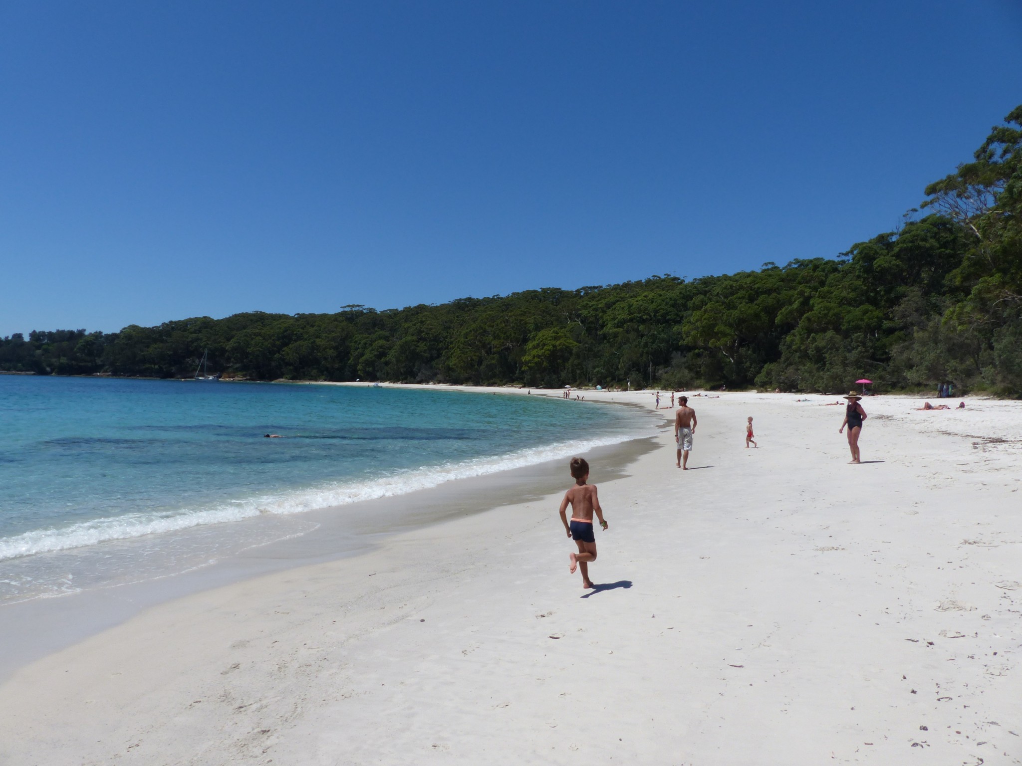 Dolphins and white beaches at Jervis Bay