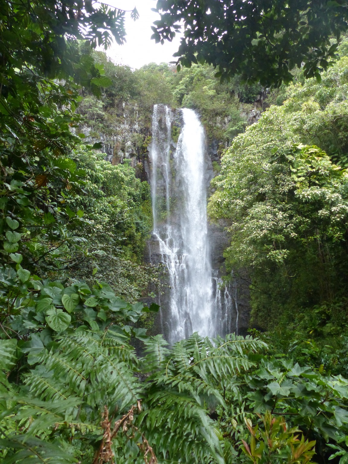 P1100080