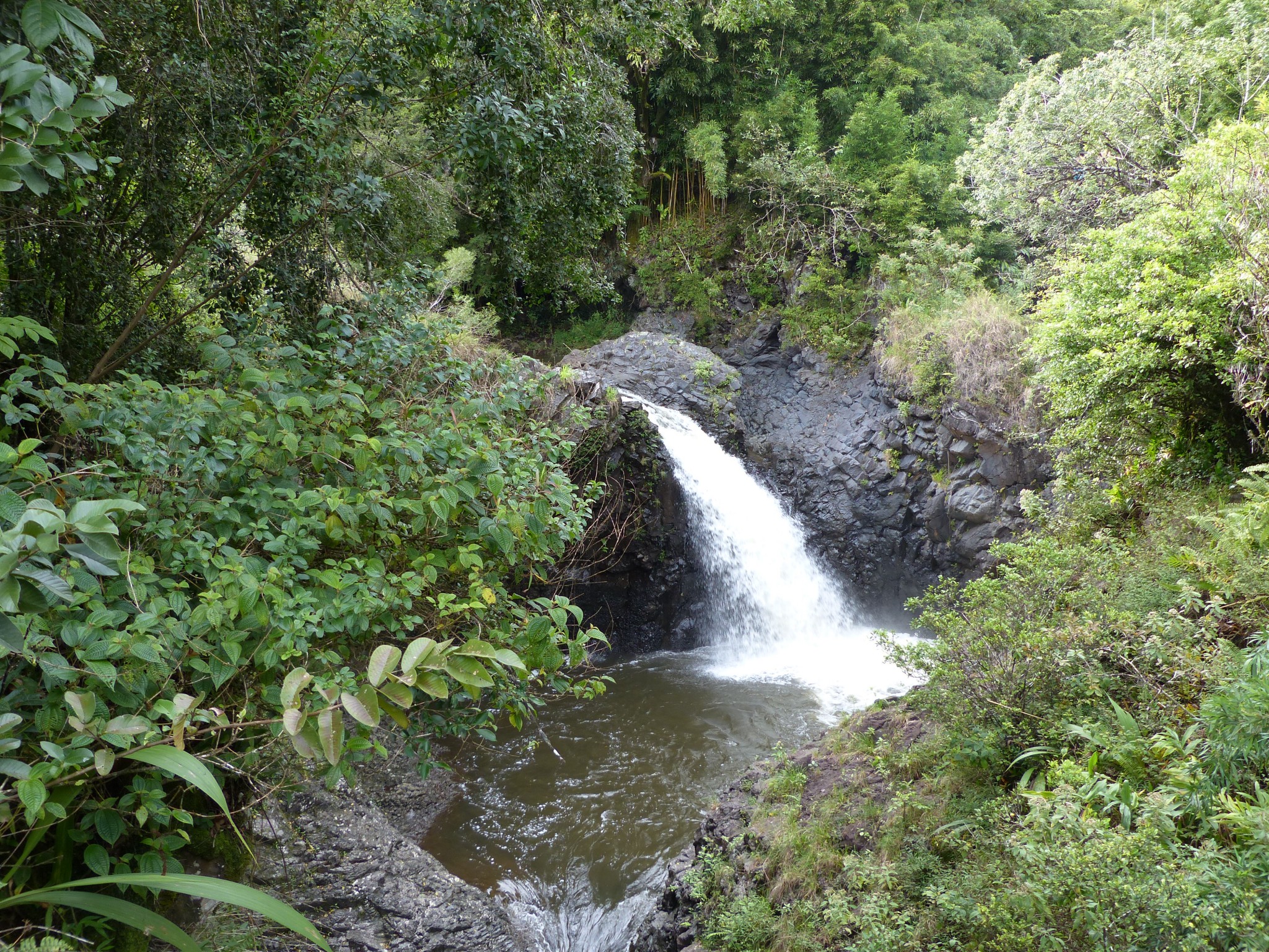P1100127