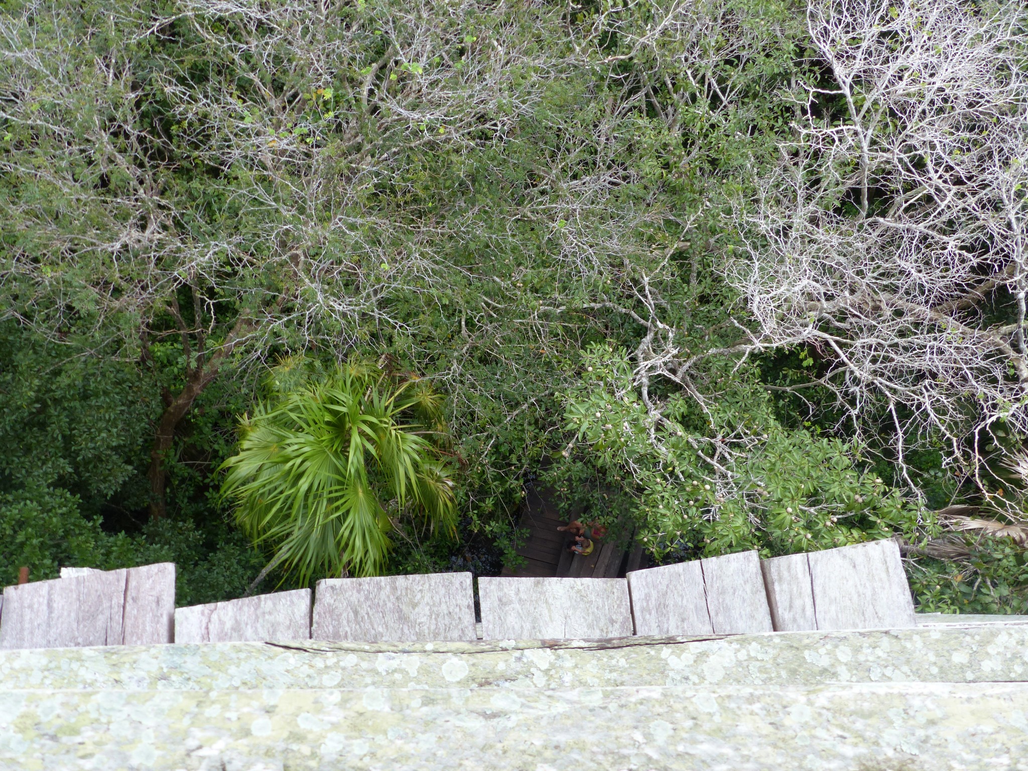 P1110065