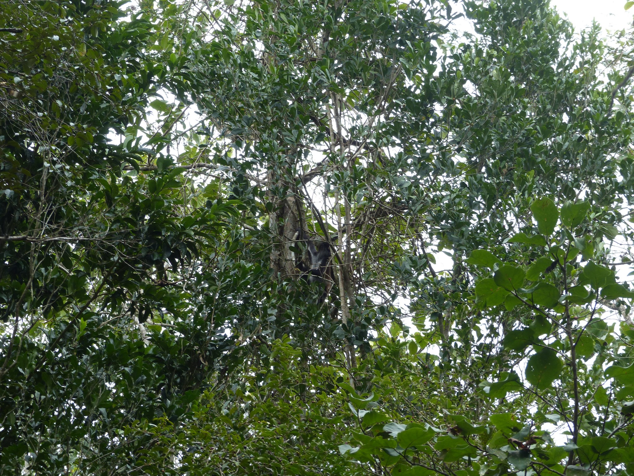 P1110089