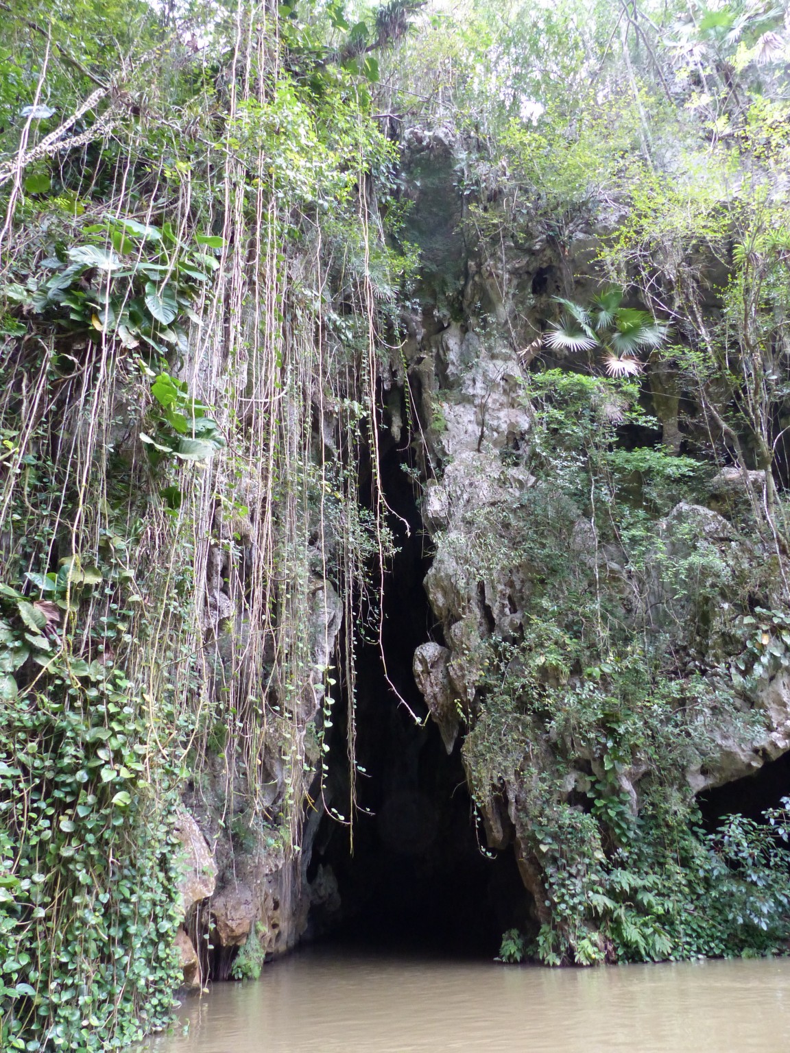 P1120303
