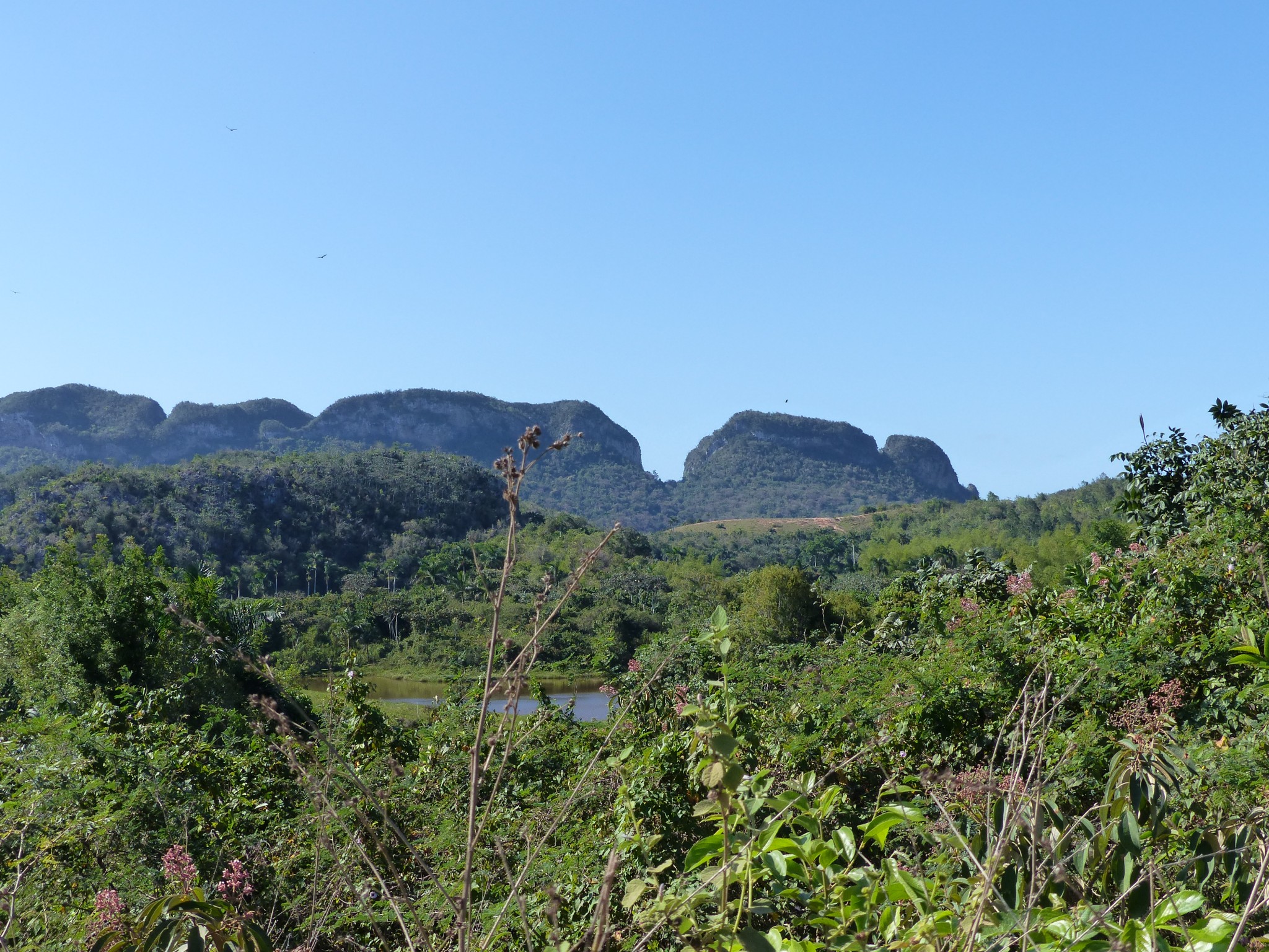 P1120389