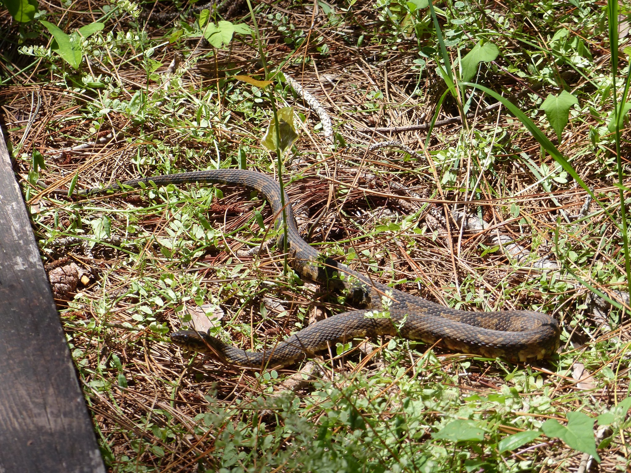 P1120713