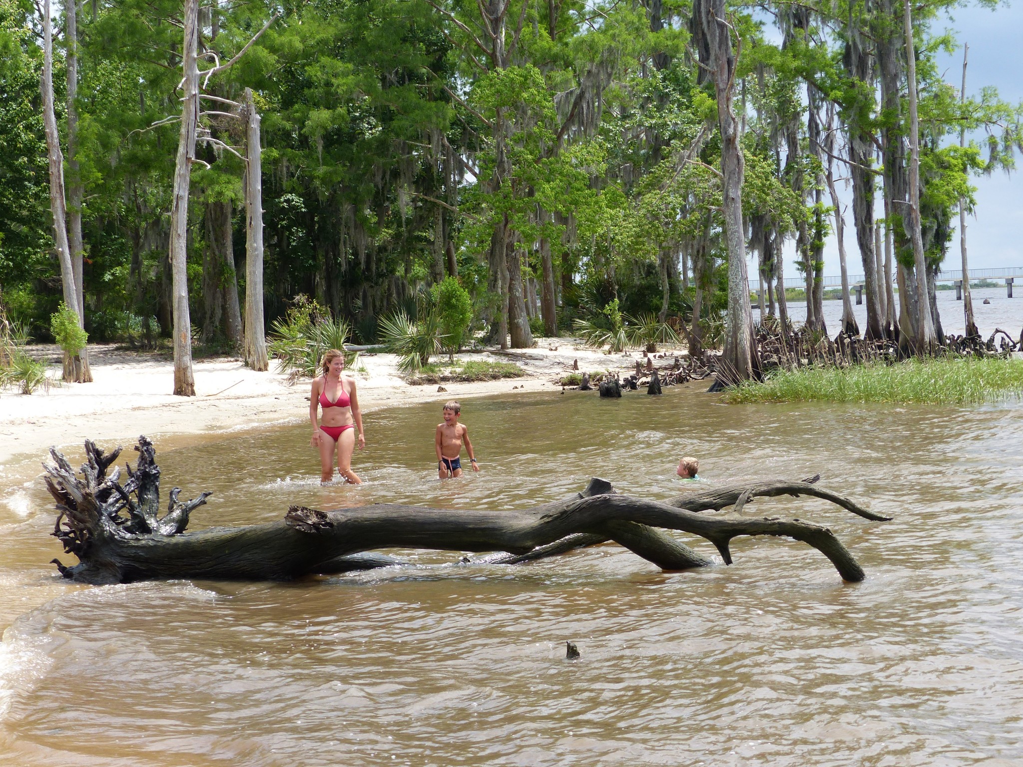 Fontainebleau State park &ndash; Beach, fire ant attack, alligators, Splash Park and the worst flooding since Katrina