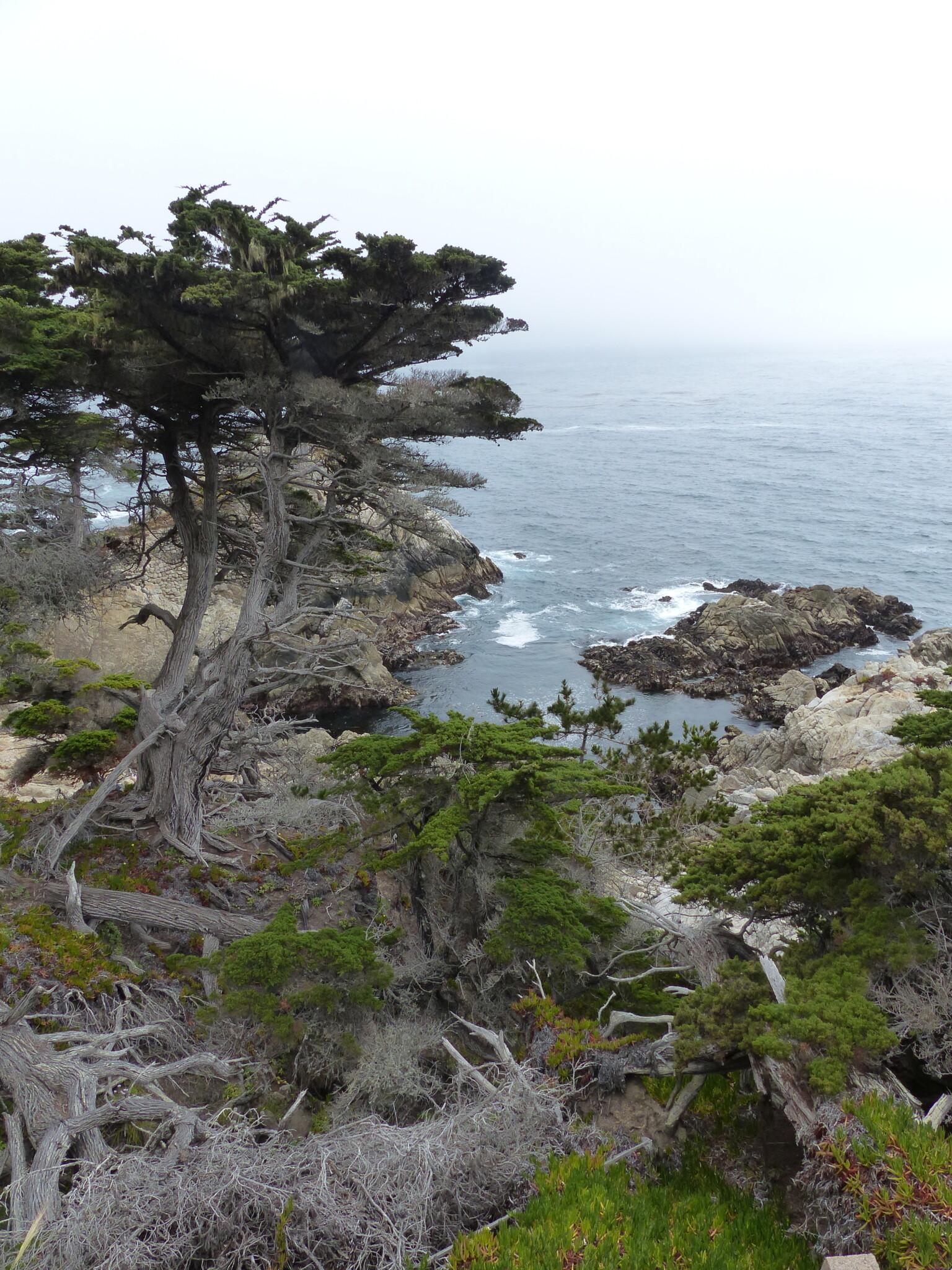 Monterey Marine National Park