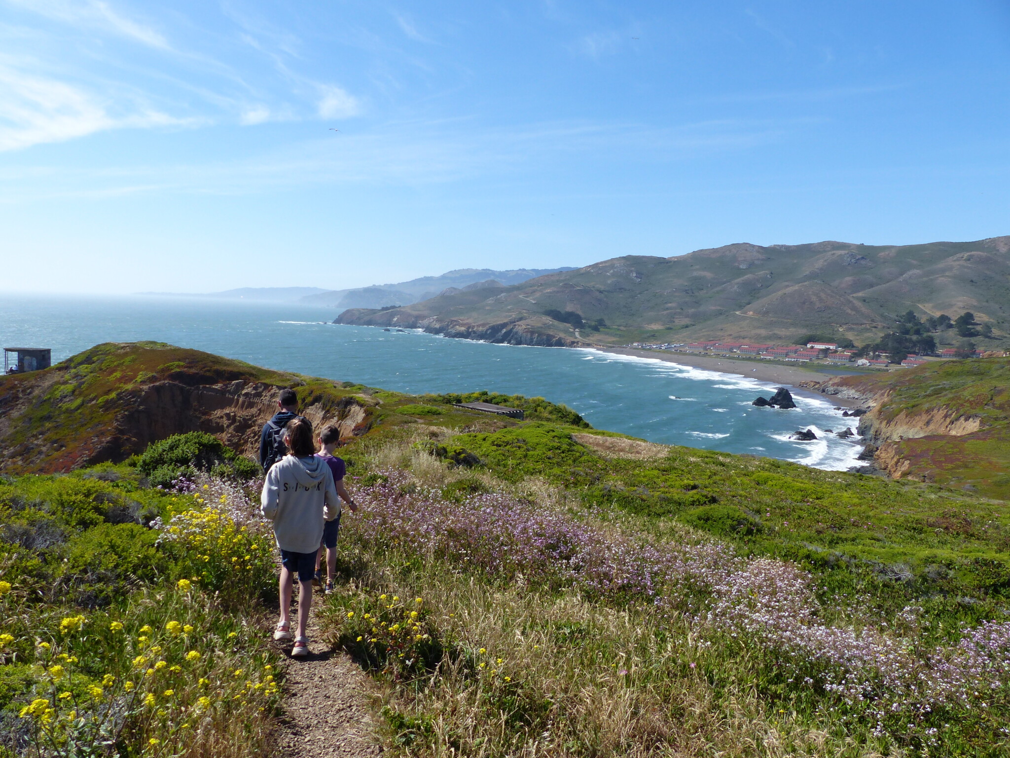 Alcatraz, Redwoods, Marin Headlands and Golden Gate Bridge