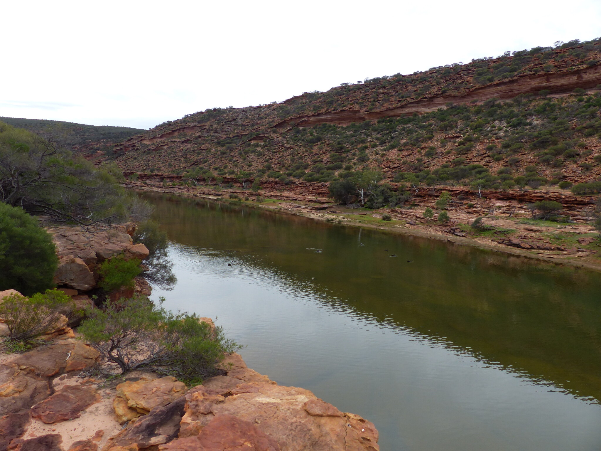 P1230382