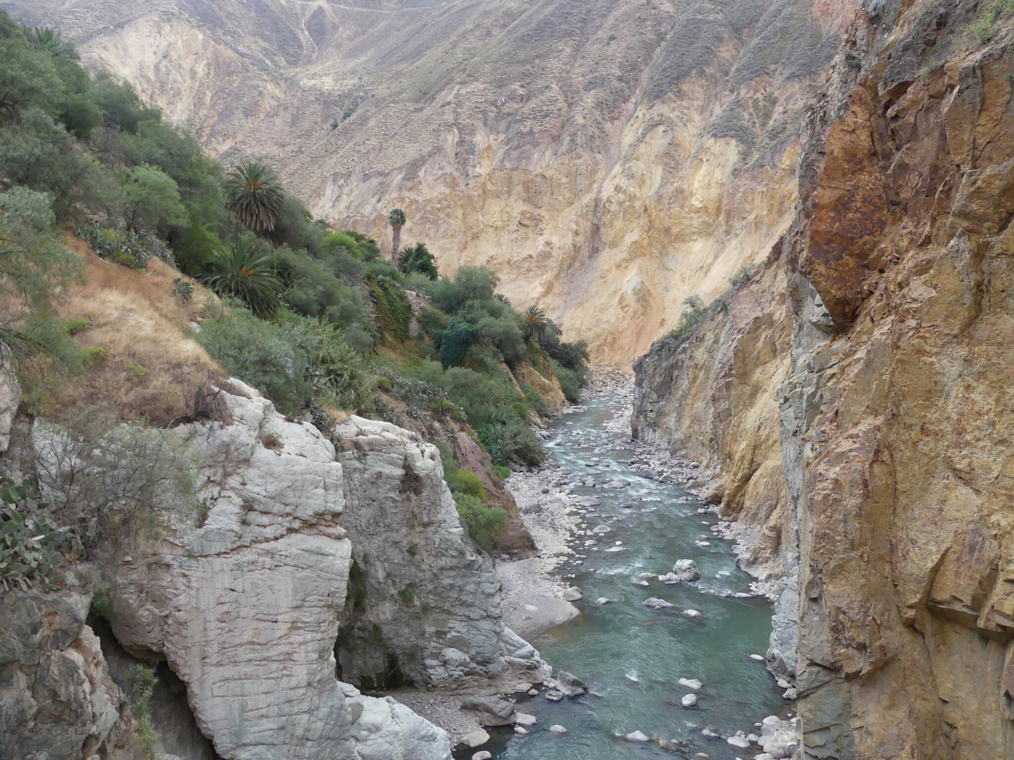 Family travel in the Andes